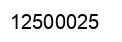 Number 12500025 black image