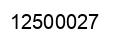 Number 12500027 black image
