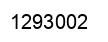 Number 1293002 black image