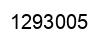 Number 1293005 black image