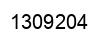 Number 1309204 black image