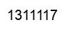 Number 1311117 black image