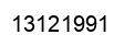 Número 13121991 imagen negro