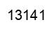 Número 13141 imagen negro