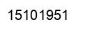 Number 15101951 black image