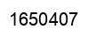 Number 1650407 black image