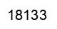 Número 18133 imagen negro