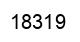 Number 18319 black image