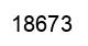 Número 18673 imagen negro