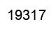 Number 19317 black image