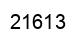 Number 21613 black image