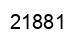 Número 21881 imagen negro