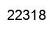 Número 22318 imagen negro