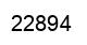 Número 22894 imagen negro