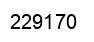 Number 229170 black image