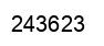 Number 243623 black image