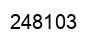 Number 248103 black image