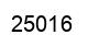 Número 25016 imagen negro
