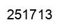 Number 251713 black image