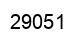 Número 29051 imagen negro