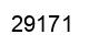 Número 29171 imagen negro