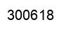 Number 300618 black image