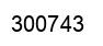 Number 300743 black image