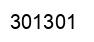 Número 301301 imagen negro