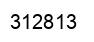 Number 312813 black image