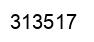 Number 313517 black image