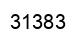 Number 31383 black image
