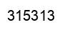 Number 315313 black image