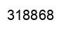 Number 318868 black image