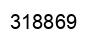 Number 318869 black image