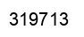 Number 319713 black image