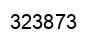Number 323873 black image