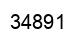 Number 34891 black image