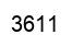Número 3611 imagen negro