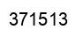 Number 371513 black image