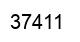 Número 37411 imagen negro