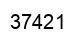 Número 37421 imagen negro