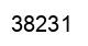 Número 38231 imagen negro