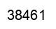 Número 38461 imagen negro