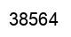 Number 38564 black image