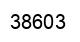 Number 38603 black image