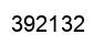 Number 392132 black image