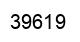 Número 39619 imagen negro