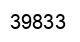 Número 39833 imagen negro