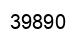 Número 39890 imagen negro