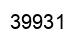 Número 39931 imagen negro